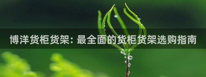 杏运汽车