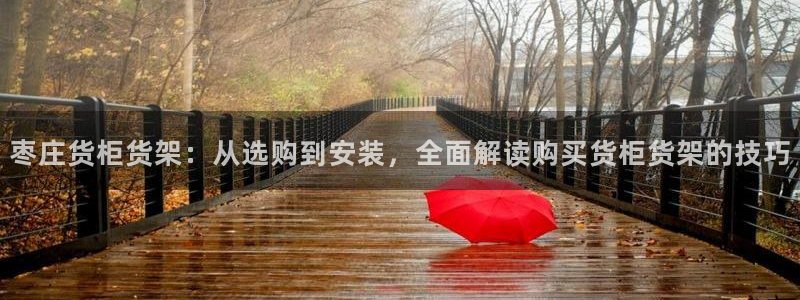 杏运相伴
