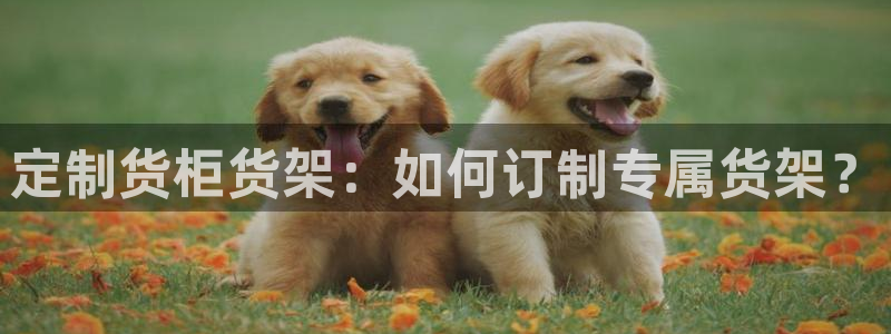 杏运汽车