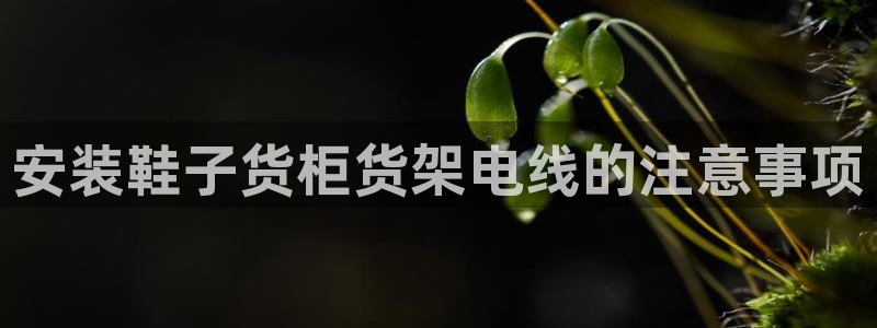 杏运注册账号