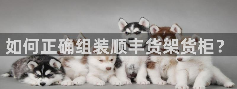 杏运平台官网
