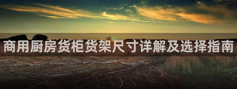 杏运体育登录