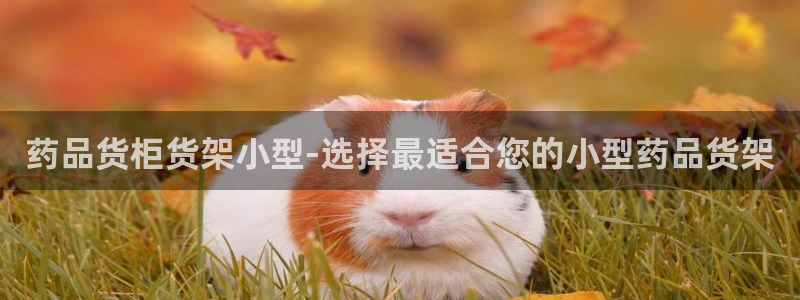 杏运体育官方网址登录