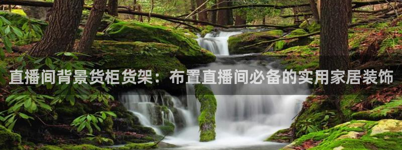 杏运登录