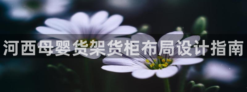 杏运体育平台