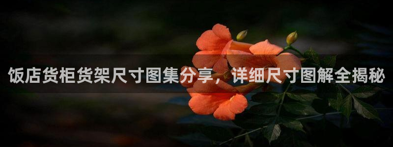 杏运登录