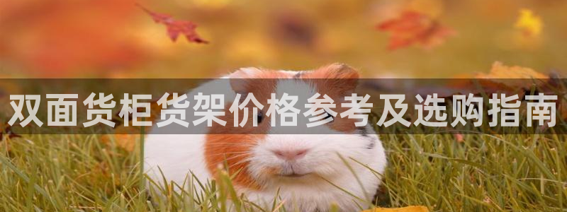 杏运注册登录地址