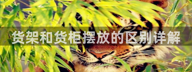 杏运体育平台正规吗安全吗可信吗