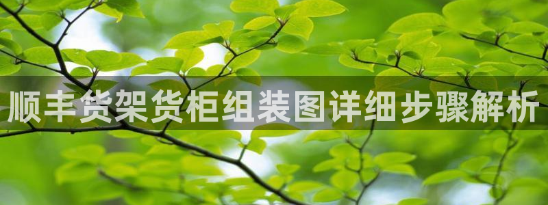 杏运平台注册