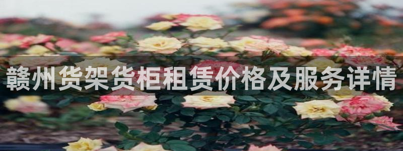 杏运体育官网