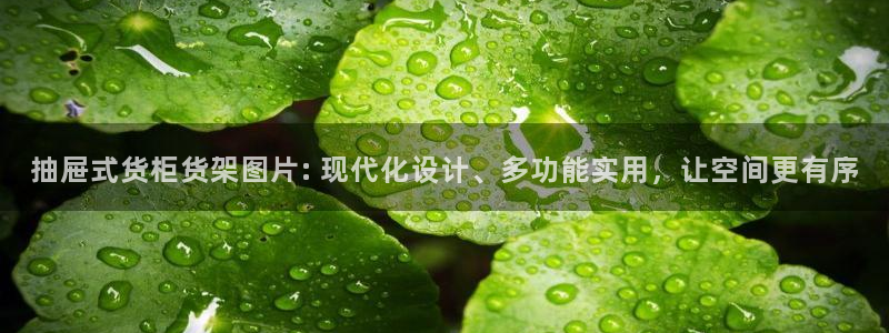 杏运平台注册