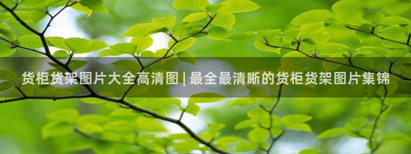 杏运注册账号