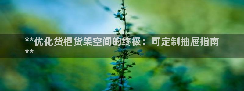 杏运体育官方网址登录