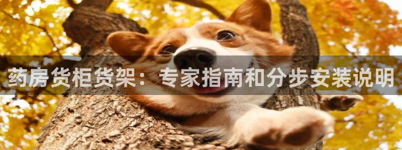 杏运汽车招商
