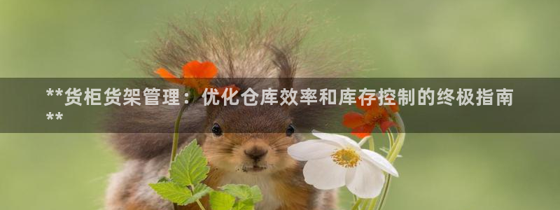 杏运体育app