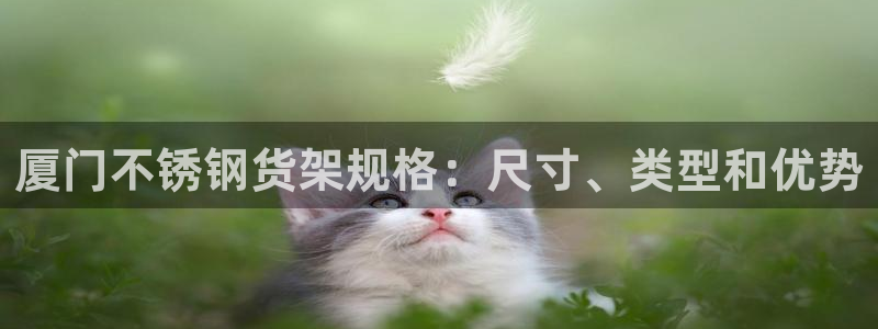 杏运汽车招商