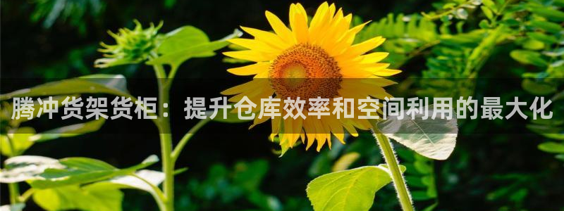 杏运平台招商