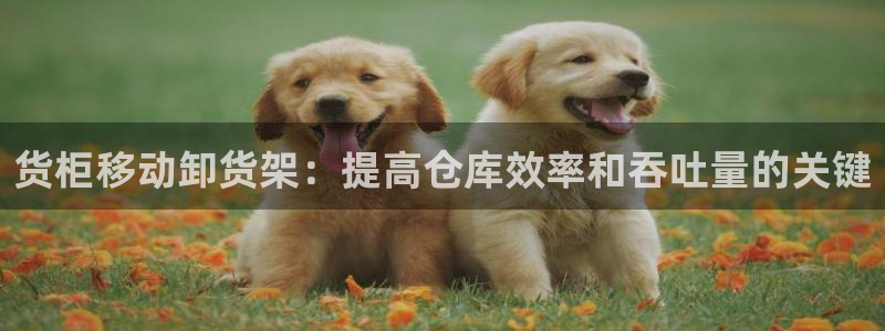 杏运平台注册登录