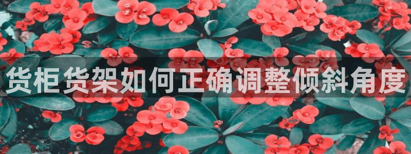 杏运代理