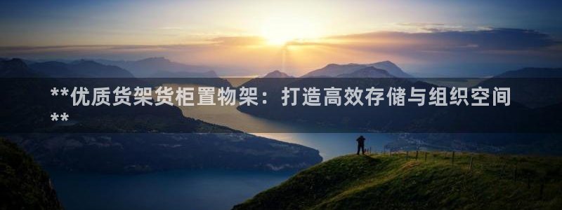 杏运汽车招商