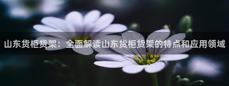 杏运平台代理