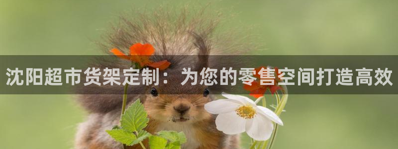 杏运体育