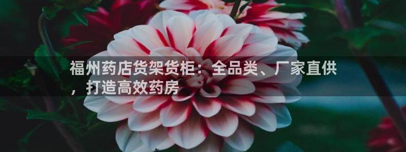 杏运登录