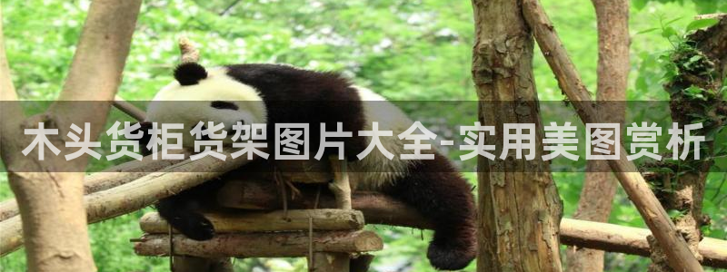 杏运体育app