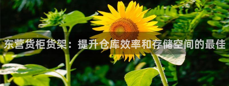 杏运娱乐