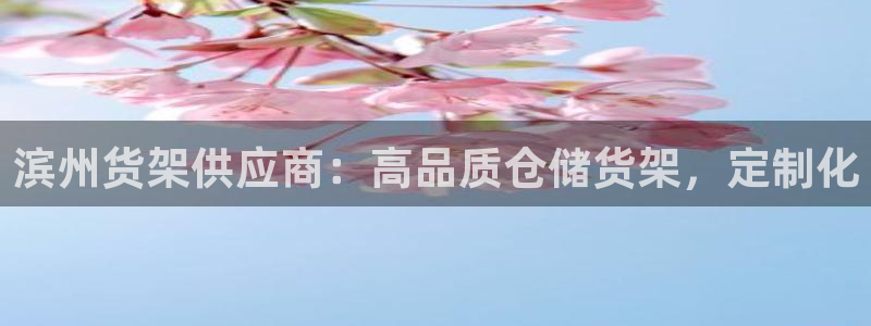 杏运汽车招商