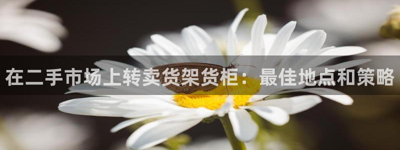 杏运登录
