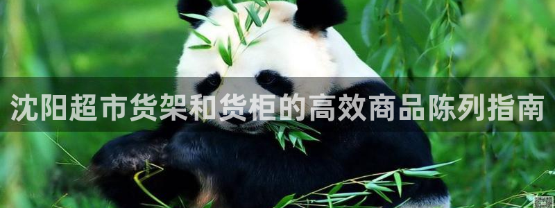 杏运体育官方网址