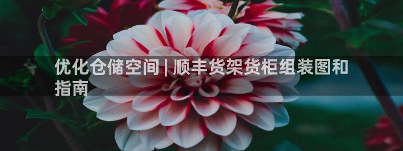 杏运平台代理