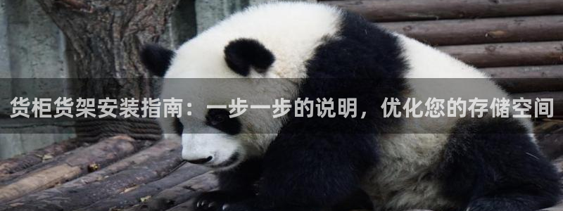杏运注册登录