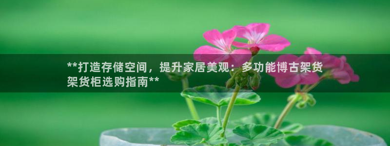 杏运平台官方网站
