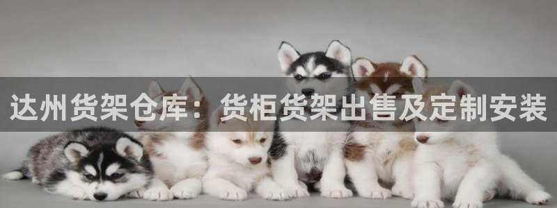 杏运体育官方网址登录