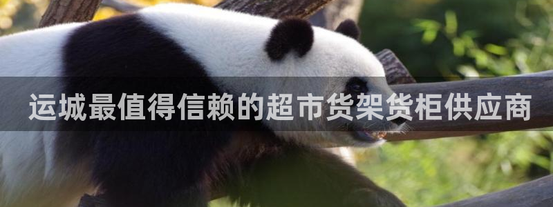 杏运体育官方网址