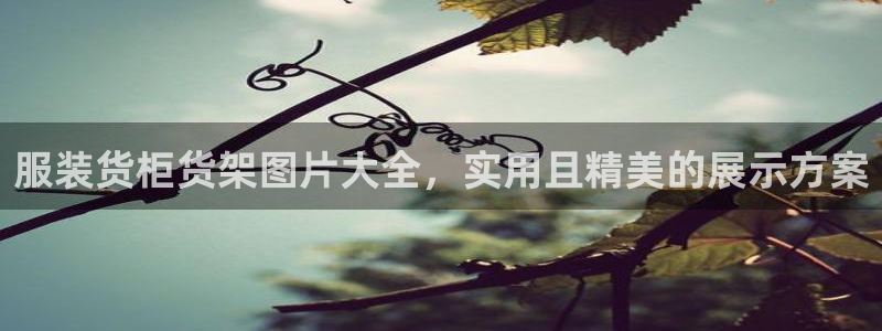 杏运汽车招商