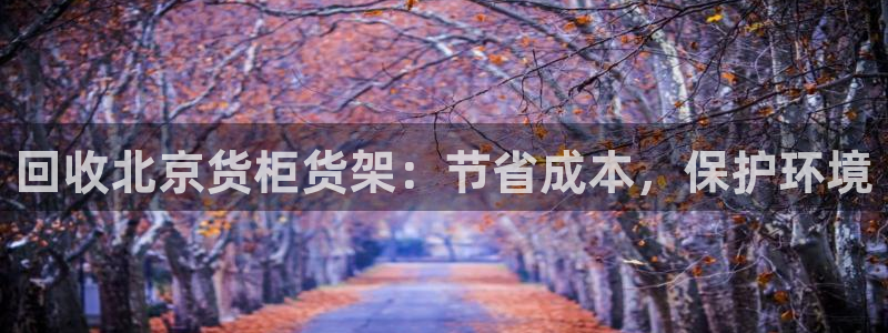 杏运相伴