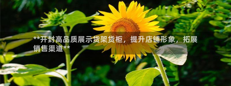杏运注册登录
