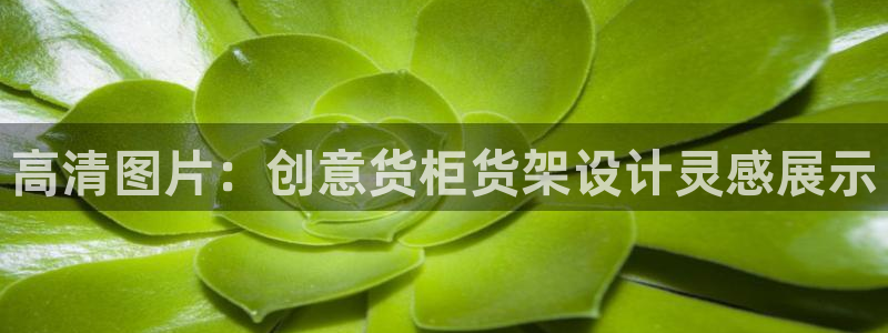 杏运体育平台
