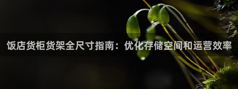 杏运体育官网