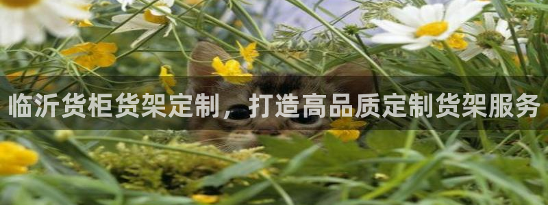 杏运平台官方网站