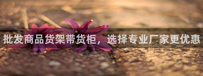 杏运体育app