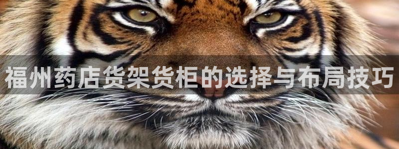 杏运平台代理