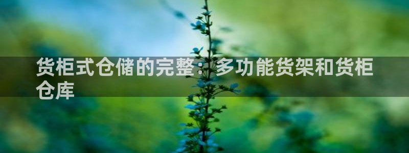 杏运平台代理