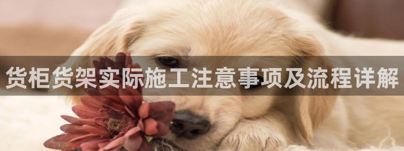 杏运注册登录地址