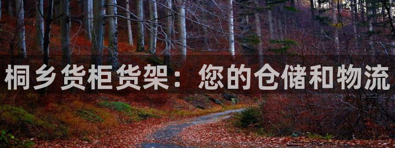 杏运体育登录：桐乡货柜货架：您的仓储和物