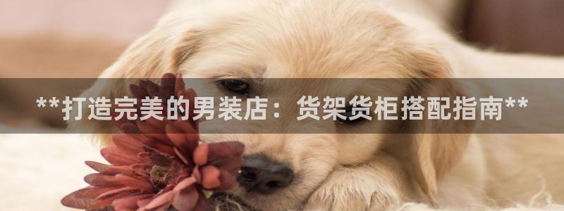 杏运平台招商
