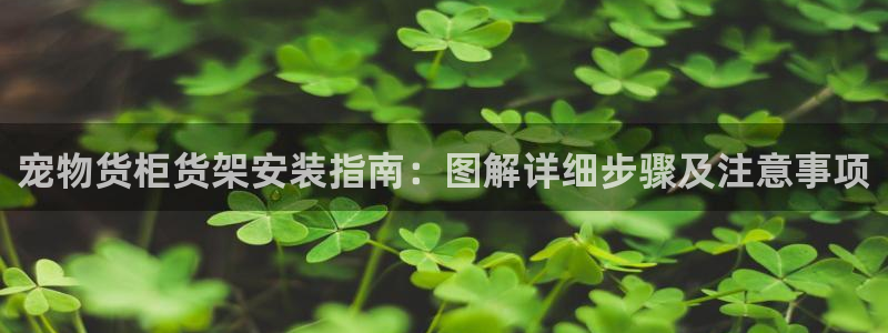 杏运新能源